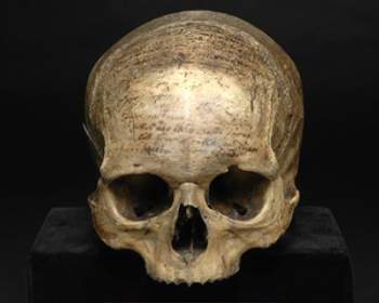 Cráneo de Descartes